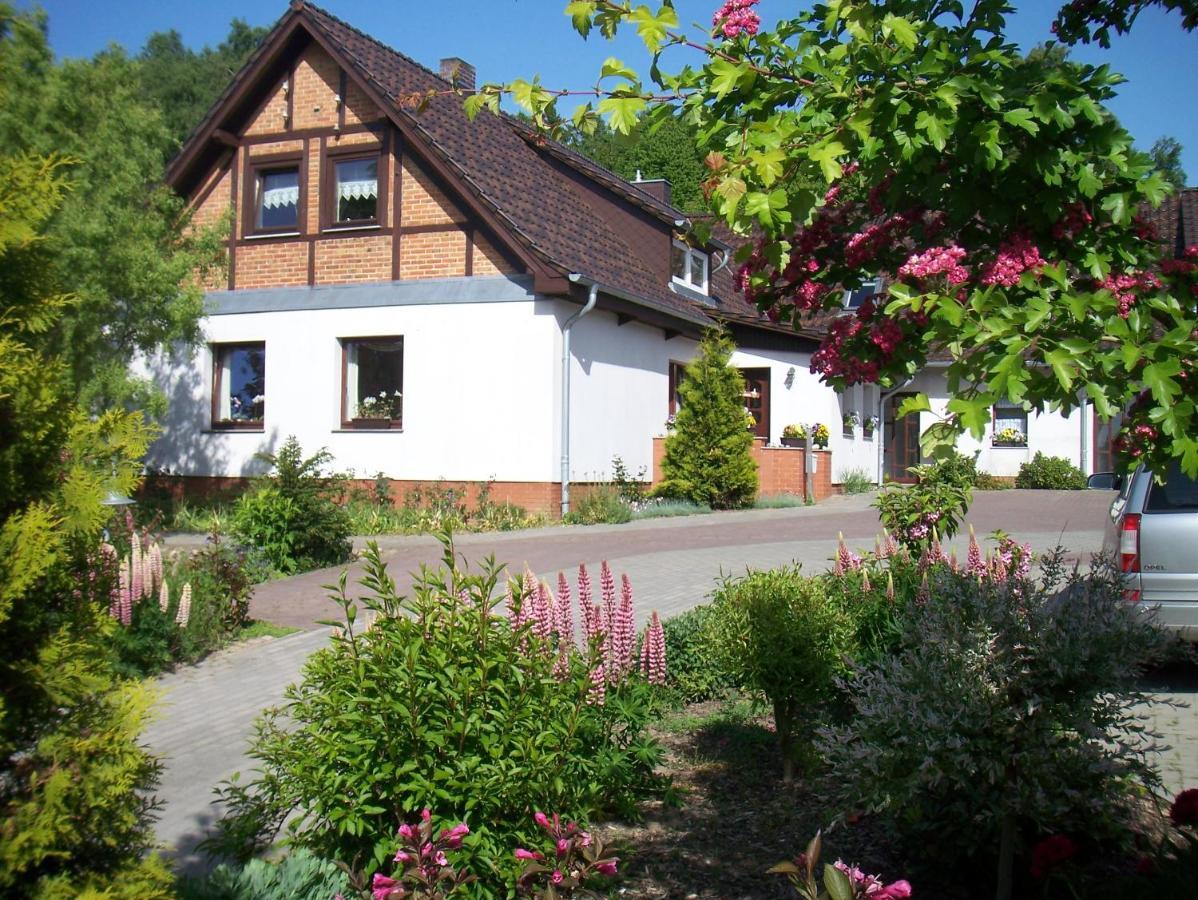 Ferienwohnung 3 Ada Bergen Auf Rugen Exterior foto